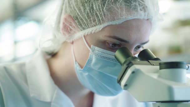 Bióloga Femenina Enfocada Examinando Sustancia Química Bajo Microscopio Mientras Realiza — Vídeos de Stock