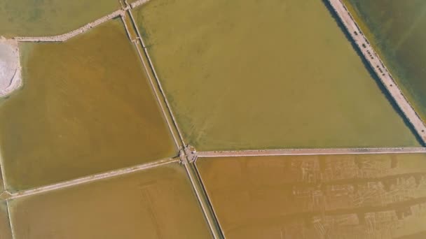 从空中俯瞰穿过绿地和海滨沙地的笔直交叉道路 — 图库视频影像