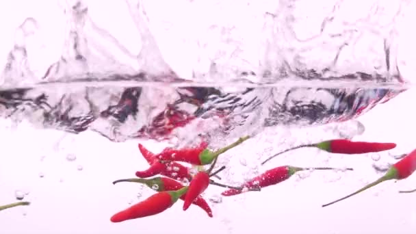 Nahaufnahme Zeitlupe Frischer Roter Chilischoten Die Mit Pinkfarbener Farbe Transparentes — Stockvideo