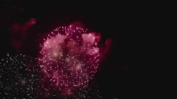 Desde Abajo Disparo Maravillosos Fuegos Artificiales Vivos Explotando Fondo Del — Vídeo de stock