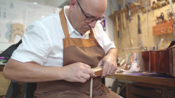 Side View Male Master Craftsman Using Professional Tool Building Musical — Vídeos de Stock