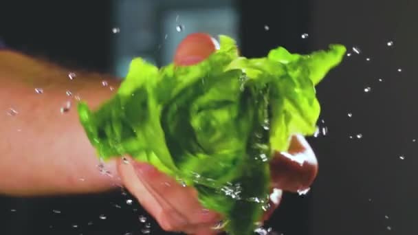 Anonymous Chef Twisting Hand Bunch Washed Fresh Salad While Cooking — Stockvideo