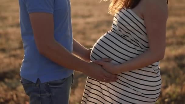 Boční Pohled Oříznutý Nepoznatelný Muž Jemně Dotýká Břicha Těhotné Ženy — Stock video