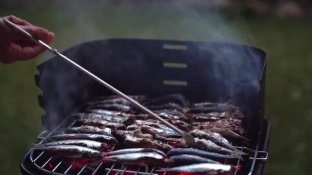 在绿色庭院的金属格栅上烤着美味的沙丁鱼 — 图库视频影像