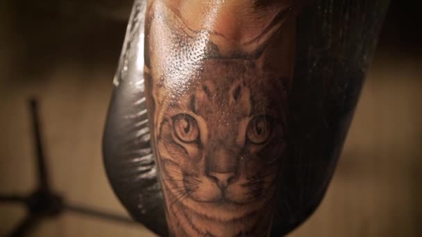 Incline Para Baixo Tiro Cliente Cultura Irreconhecível Com Tatuagem Gato — Vídeo de Stock