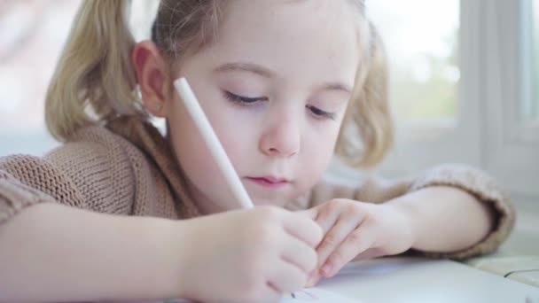 Criança Bonito Desenho Roupa Casual Enquanto Sentado Mesa Jardim Infância — Vídeo de Stock