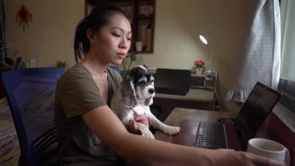 Vue Latérale Une Pigiste Heureuse Assise Sur Une Chaise Prenant — Video