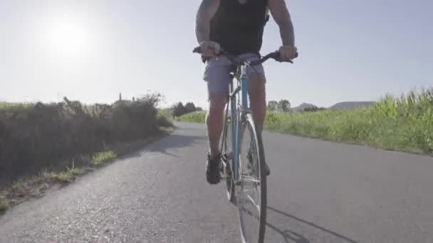 Souriant Cycliste Masculin Vélo Moderne Long Route Asphaltée Près Champ — Video