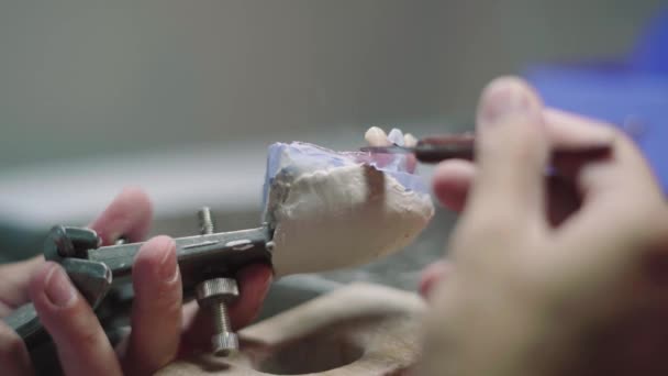 Closeup Mestre Masculino Irreconhecível Trabalhando Com Mandíbulas Gesso Moldando Dentes — Vídeo de Stock