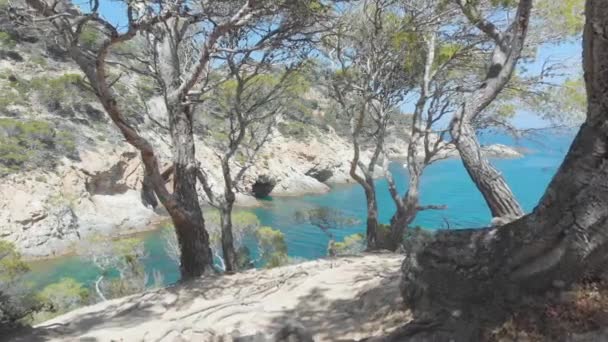 美丽的岩湾 有洞穴 — 图库视频影像