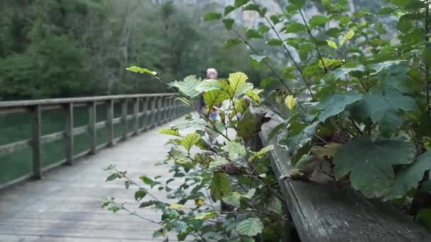 Wanita Muda Yang Positif Dengan Pakaian Hangat Berjalan Atas Jembatan — Stok Video