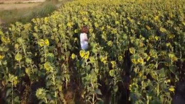 Gökyüzünden bakıldığında tanınmayan ergen çocuğun çiçek açan ayçiçeği çayırında yürüdüğünü ve yazın tadını çıkardığını görüyoruz.