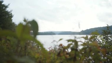 Kanada 'daki Algonquin İl Parkı' nda bulutlu bir günde yeşil kozalaklı ağaçlarla çevrili sakin göl manzarası