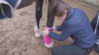 Atçılık okulundaki eğitimden sonra itaatkar atın bacağından pembe bandaj çıkaran genç kızdan.