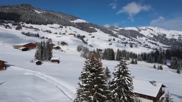 スキー場の居心地の良い小さな木造住宅と雪の山脈の斜面に成長針葉樹の素晴らしい空中ビュー曇りの青い空に対して — ストック動画