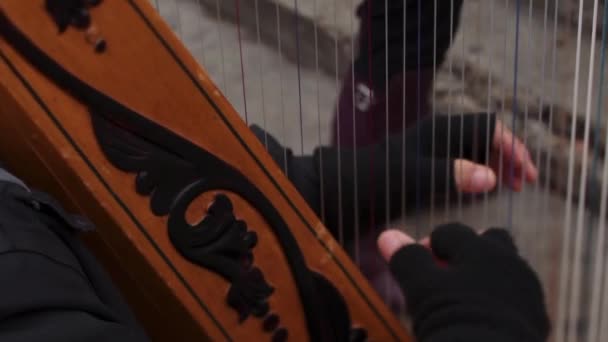 Vue Latérale Inclinée Musicien Méconnaissable Vêtements Chauds Jouant Harpe Sur — Video