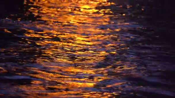 Natural Texture Background Dark Rippled Water Reflecting Bright Light Beam — Stock Video
