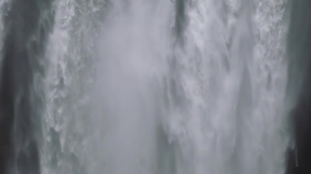 Aves Voando Perto Cachoeira Natureza — Vídeo de Stock