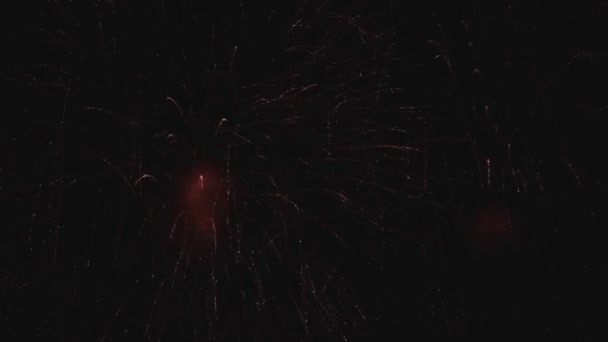 Zdola Záběr Nádherné Živé Ohňostroje Explodující Pozadí Černé Noční Oblohy — Stock video