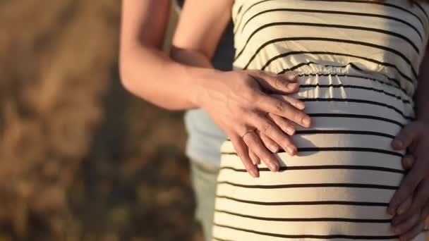 Mann Umarmt Schwangere Sanft Und Berührt Sie Bauch Während Sie — Stockvideo