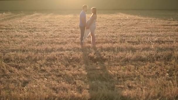 田舎の日没の間に乾燥したフィールドでお互いを見て立っている間 男の側のビューは優しく手を握り 妊娠中の女性にキス — ストック動画