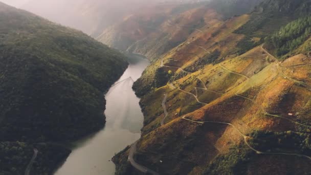 Séquences Tranquilles Rivière Montagne — Video