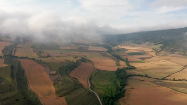 Din Vedere Spectaculoasă Plantațiilor Dintre Drumurile Înguste Din Apropierea Munților — Videoclip de stoc