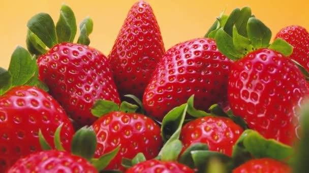 Zoom Primer Plano Fresas Jugosas Rojas Maduras Frescas Con Colas — Vídeos de Stock