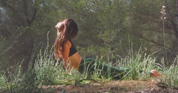 Dal Basso Delle Giovani Donne Forma Che Fanno Esercizi Yoga — Video Stock