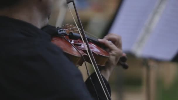 Cropped Anonymous Musician Playing Violin — Stock Video