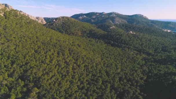 Drone View Flight Rocky Mountains Covered Dense Green Forest Sunny — Stock Video