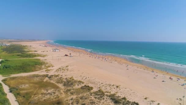 Καθιέρωση Πυροβόλησε Από Drone Ατελείωτες Αμμώδη Παραλία Πράσινα Φυτά Και — Αρχείο Βίντεο