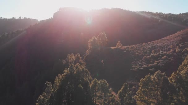 カナリア島の夕日の緑の山 — ストック動画