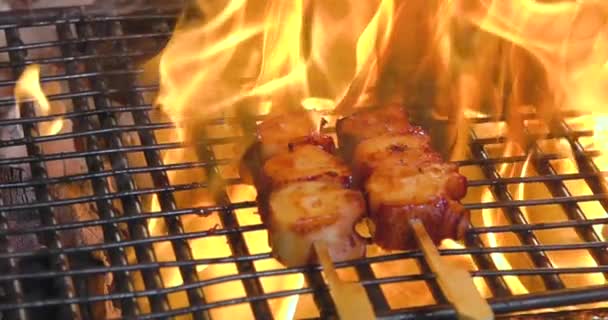 Tasty Appetizing Pieces Fresh Octopus Fillet Grilling Flaming Fire Slow — Stock Video