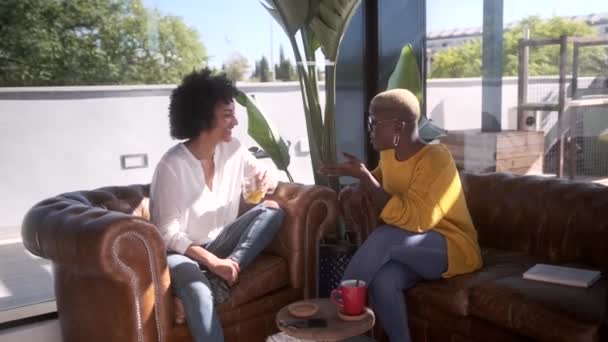 Positiva Feliz Afroamericana Mejores Amigas Sentadas Terraza Hablando Mientras Ríen — Vídeo de stock