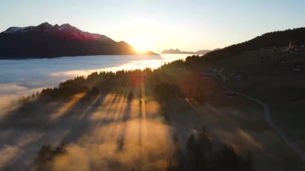 Przechyl Się Dron Widok Jasnych Promieni Słońca Gęste Chmury Ciemnozielone — Wideo stockowe