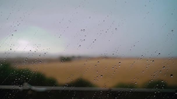 Blurred Meadow Countryside Overcast Sky Glass Raindrops Rainy Day — Vídeos de Stock