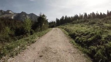 Avusturya 'daki inanılmaz ormanda yol dardır.