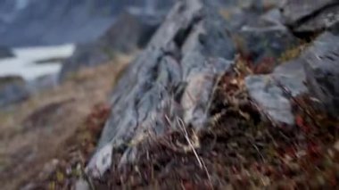 Karla kaplı nefes kesici sıradağlar.