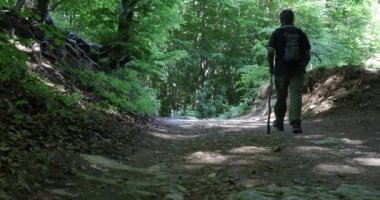 Kıdemli adam dağda yürüyüş yapıyor.