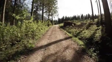Avusturya 'daki inanılmaz ormanda yol dardır.