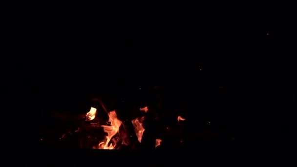 Požár Tábořišti Noci — Stock video