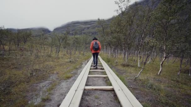 Traveling Man Backpack Walking Wild Path — Vídeo de stock
