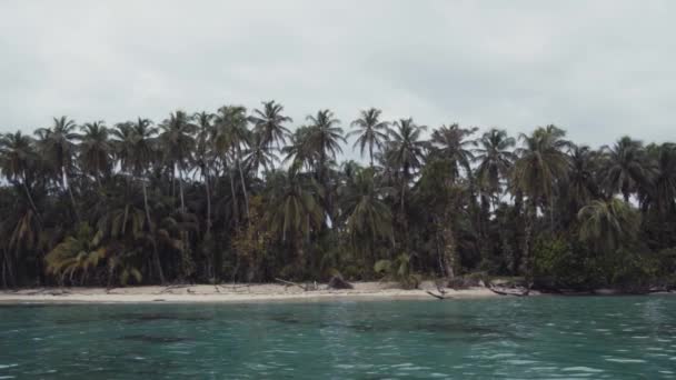 Wasser Küstennähe Mit Palmen — Stockvideo