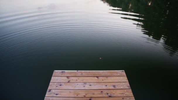 平静池塘中的小码头 — 图库视频影像
