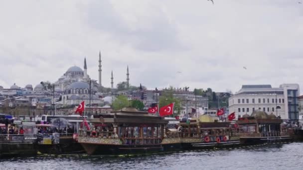 Vue Depuis Mer Oiseau Survolant Dinde Istanbul — Video