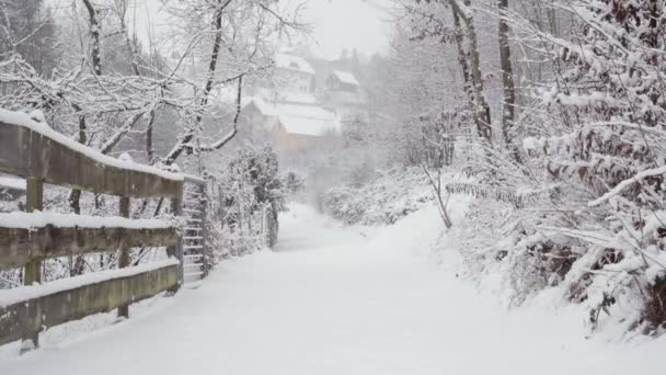 Över Vackra Vinterlandskap Tyst Snöfall — Stockvideo