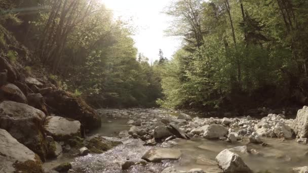 Steiniger Fluss Österreich — Stockvideo