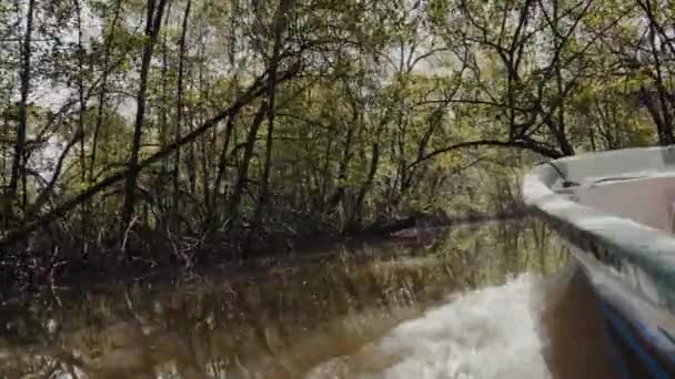 Widok Biały Dziób Łodzi Pływających Spokojnej Wodzie Zielonej Wody Panamie — Wideo stockowe