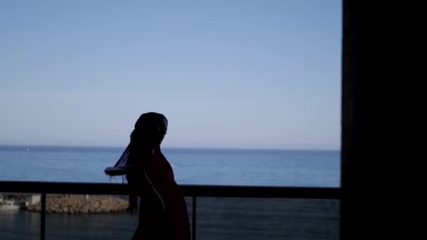 Жінка Розчісує Волосся Тіні Блакитне Небо Океан — стокове відео